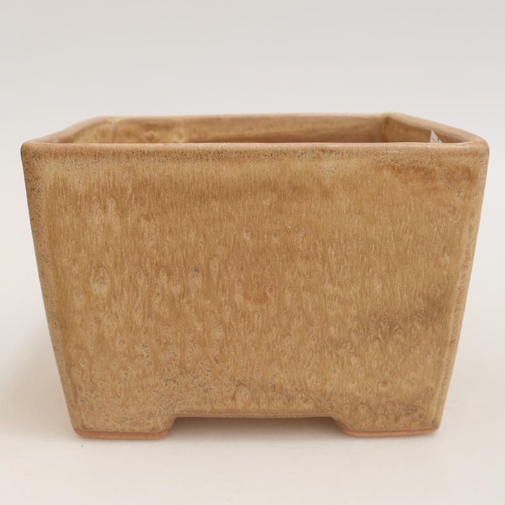 Pot à bonsaï en céramique 15 x 15 x 10,5 cm, couleur beige