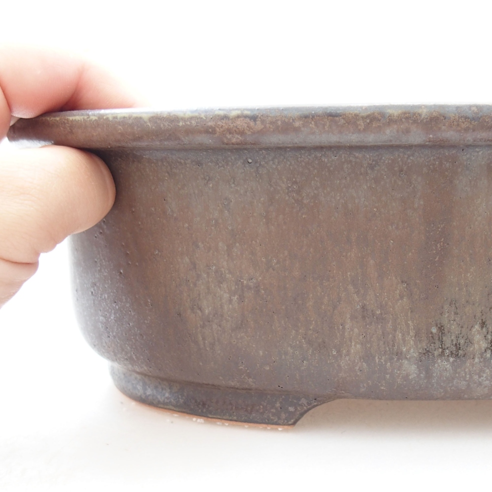 Bol à bonsaï en céramique 26 x 22 x 8 cm, brun