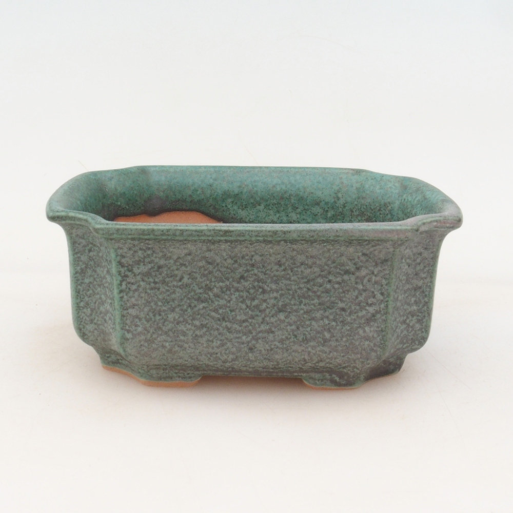 Bol à bonsaï H01 - 12 x 9 x 5 cm - vert