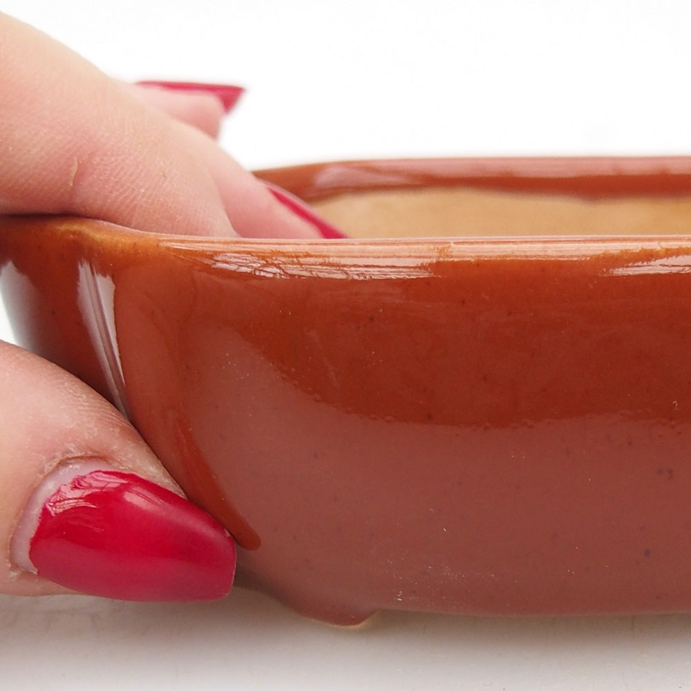 Bol à bonsaï en céramique 125 x 10 x 3 cm, brun