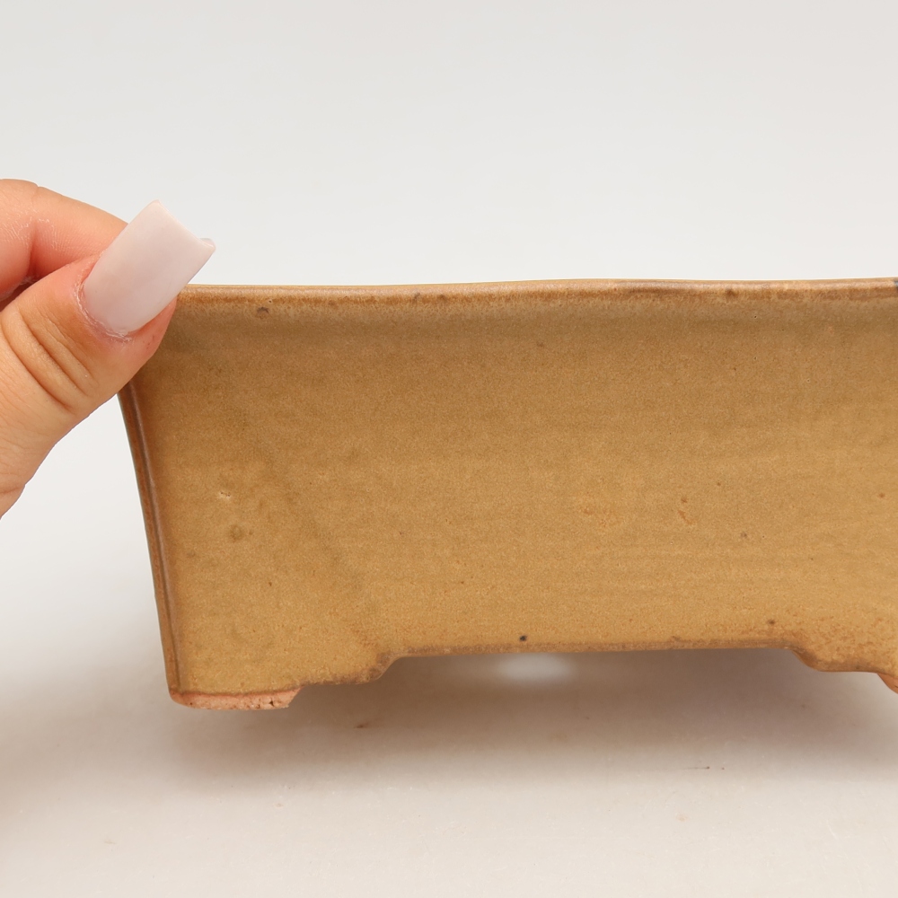 Bol à bonsaï en céramique 18 x 14 x 7 cm, couleur beige