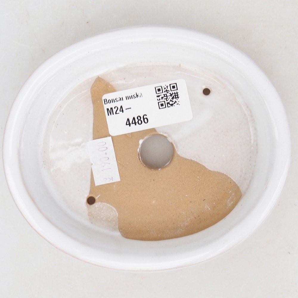 Bol à bonsaï en céramique 13 x 11 x 2,5 cm, couleur blanc