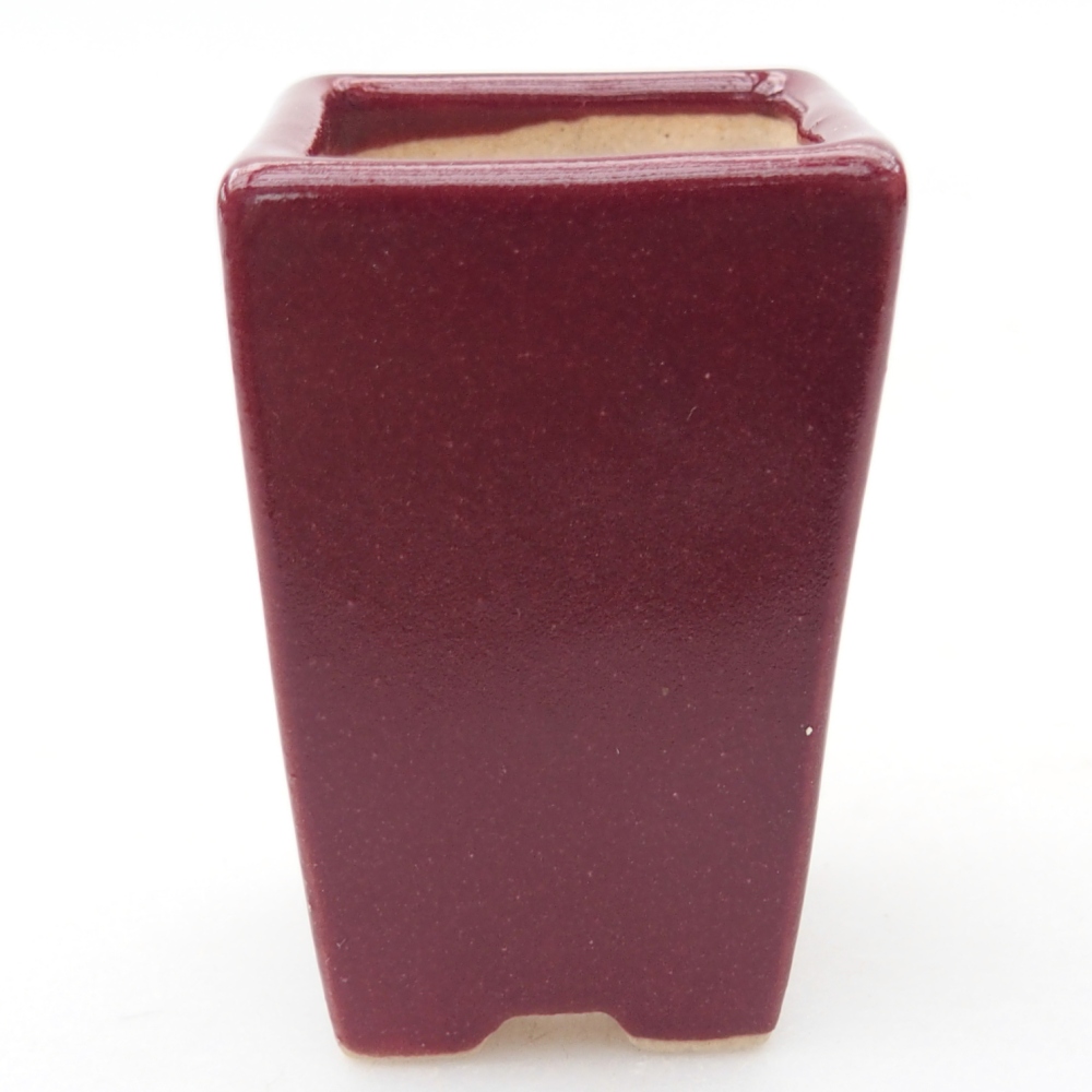 Mini bol bonsaï 3,5 x 3,5 x 5 cm, couleur bordeaux
