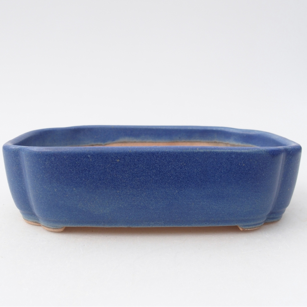 Bol à bonsaï en céramique 16 x 11,5 x 4 cm, couleur bleu