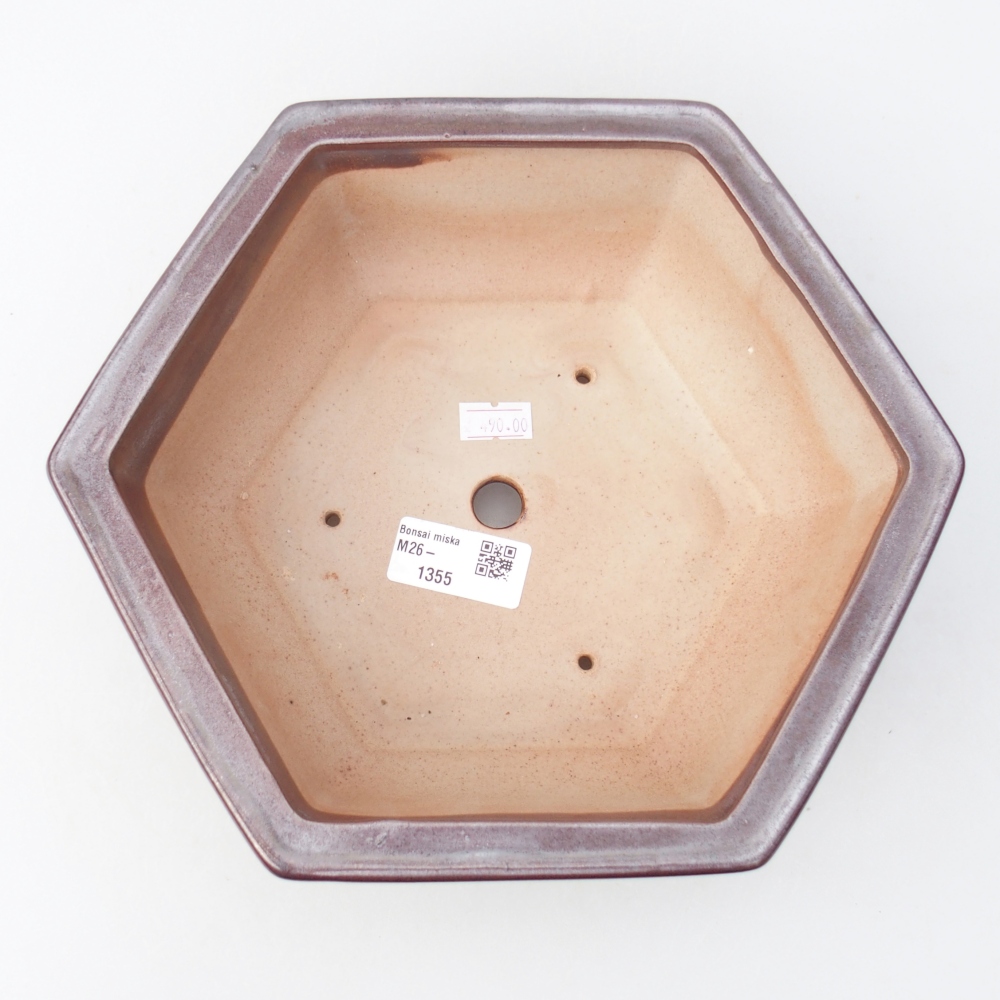 Bol à bonsaï en céramique 24 x 21 x 7,5 cm, couleur bordeaux