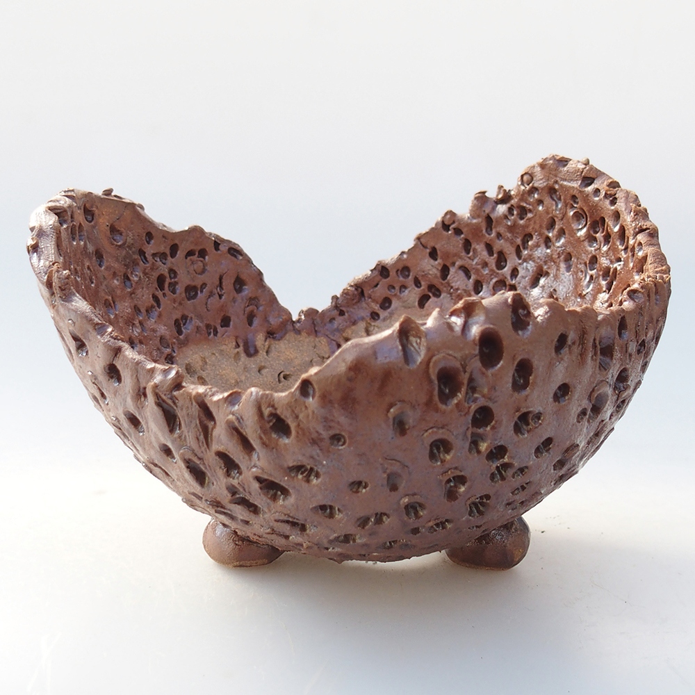 Coquille en céramique 12,5 x 12,5 x 9 cm , couleur marron