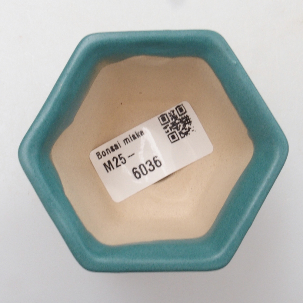 Bol à bonsaï en céramique 6,5 x 5,5 x 4 cm, couleur bleu