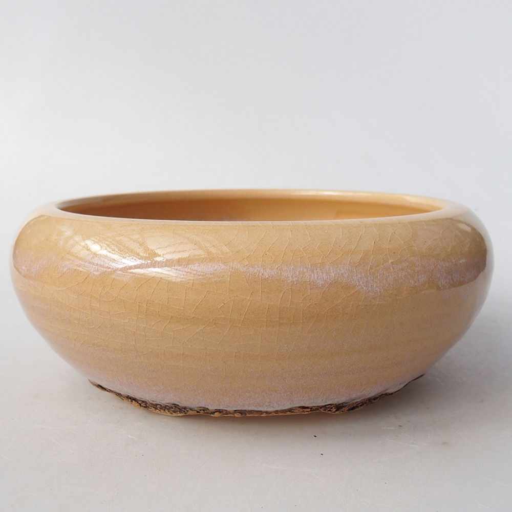 Bol à bonsaï en céramique 18 x 18 x 6 cm, couleur beige
