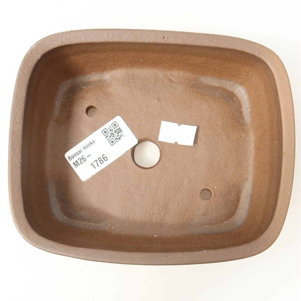 Pot à bonsaï en céramique 14,5 x 11,5 x 4,5 cm, couleur marron