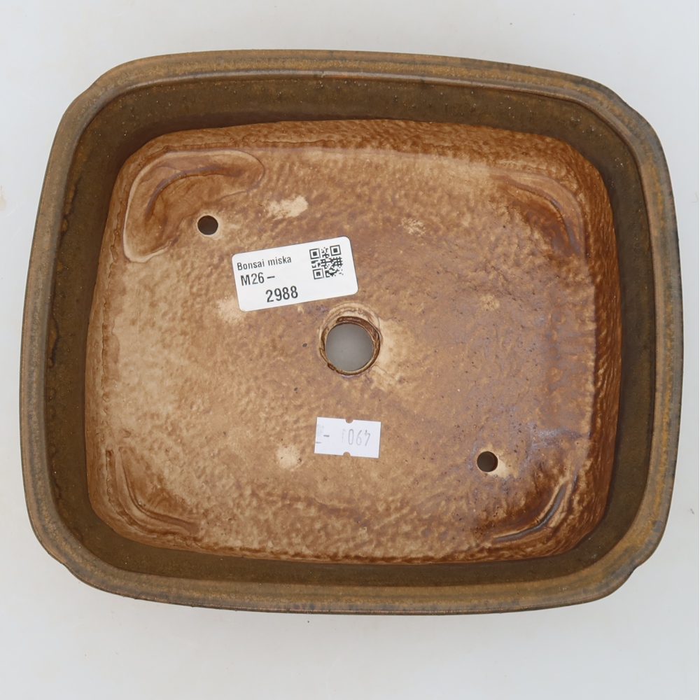 Pot à bonsaï en céramique 20 x 17,5 x 6 cm, couleur marron