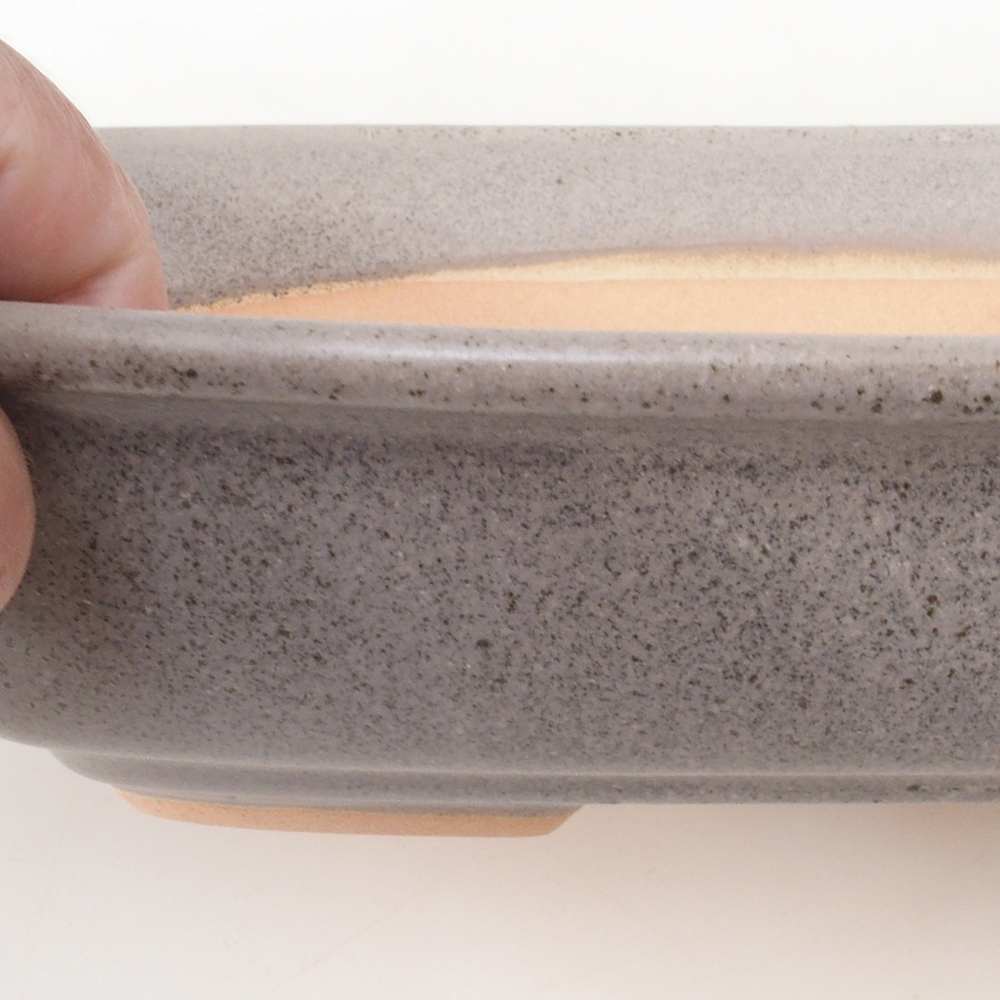 Coupe bonsaï H09 - 30 x 23 x 7,5 cm - beige