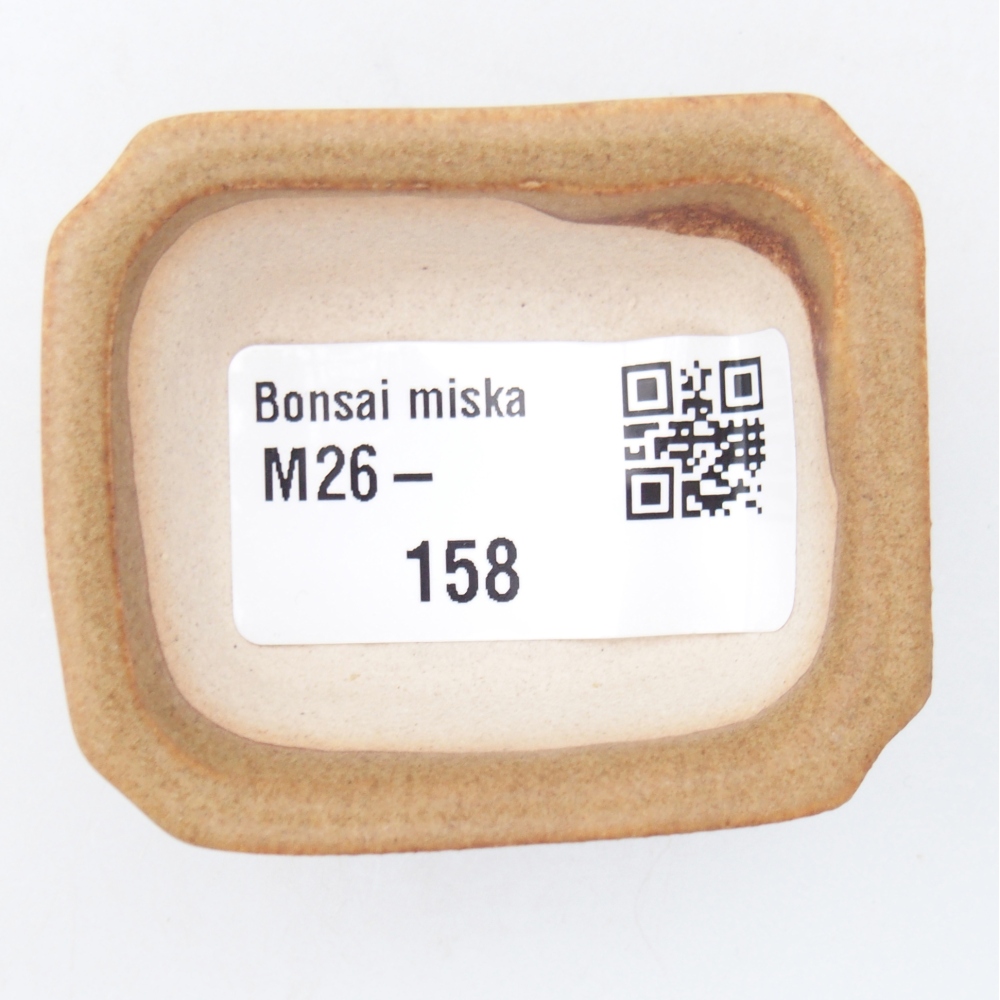 Mini bol bonsaï 5,5 x 4,5 x 2 cm, brun