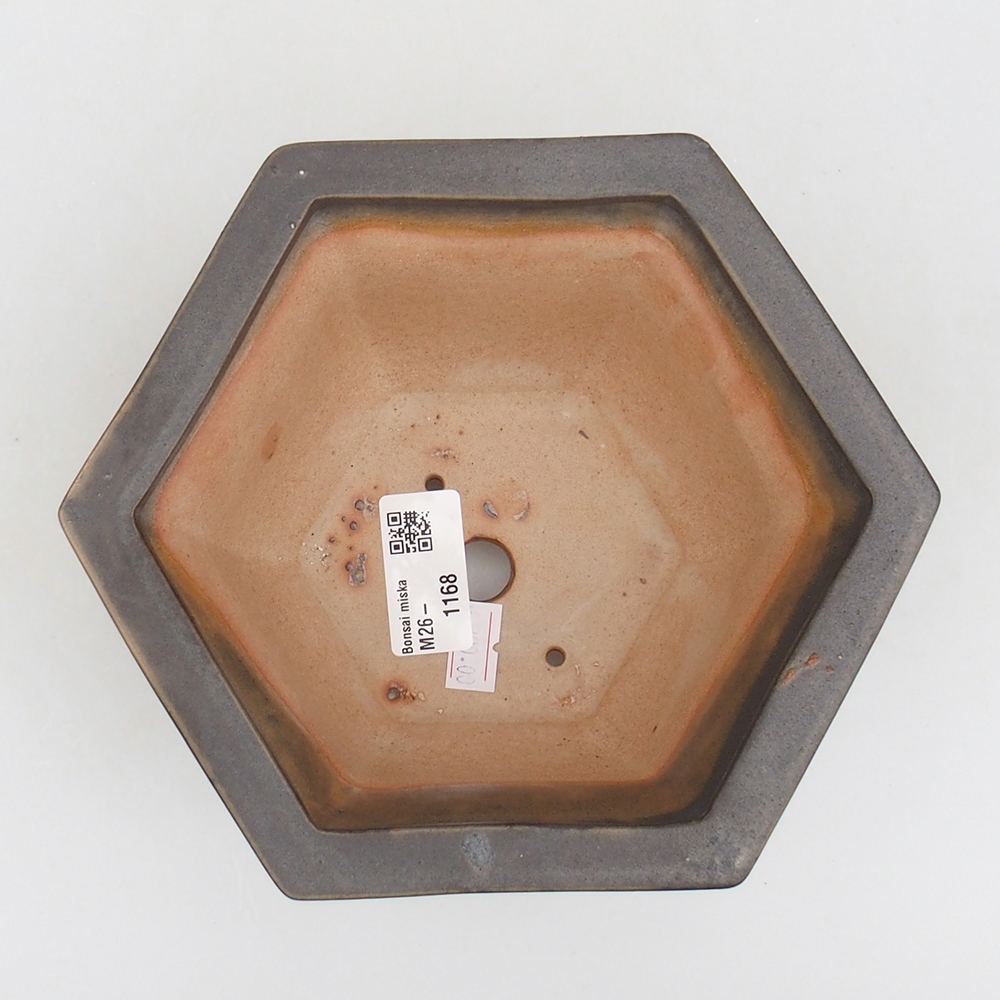 Bol à bonsaï en céramique 18 x 16 x 9 cm, vert