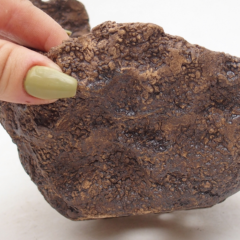 Coquille en céramique 14 x 14 x 13 cm , couleur marron