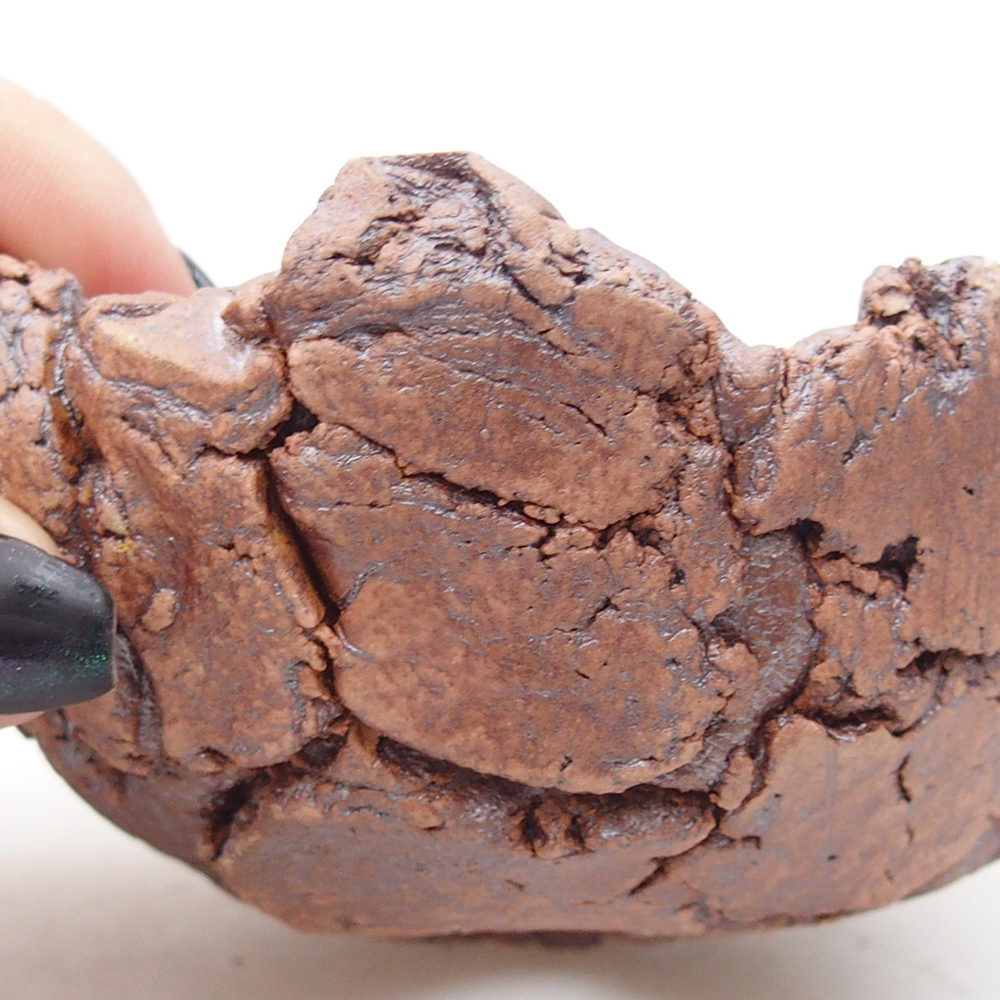 Coquille en céramique 9 x 9 x 5,5 cm , couleur marron