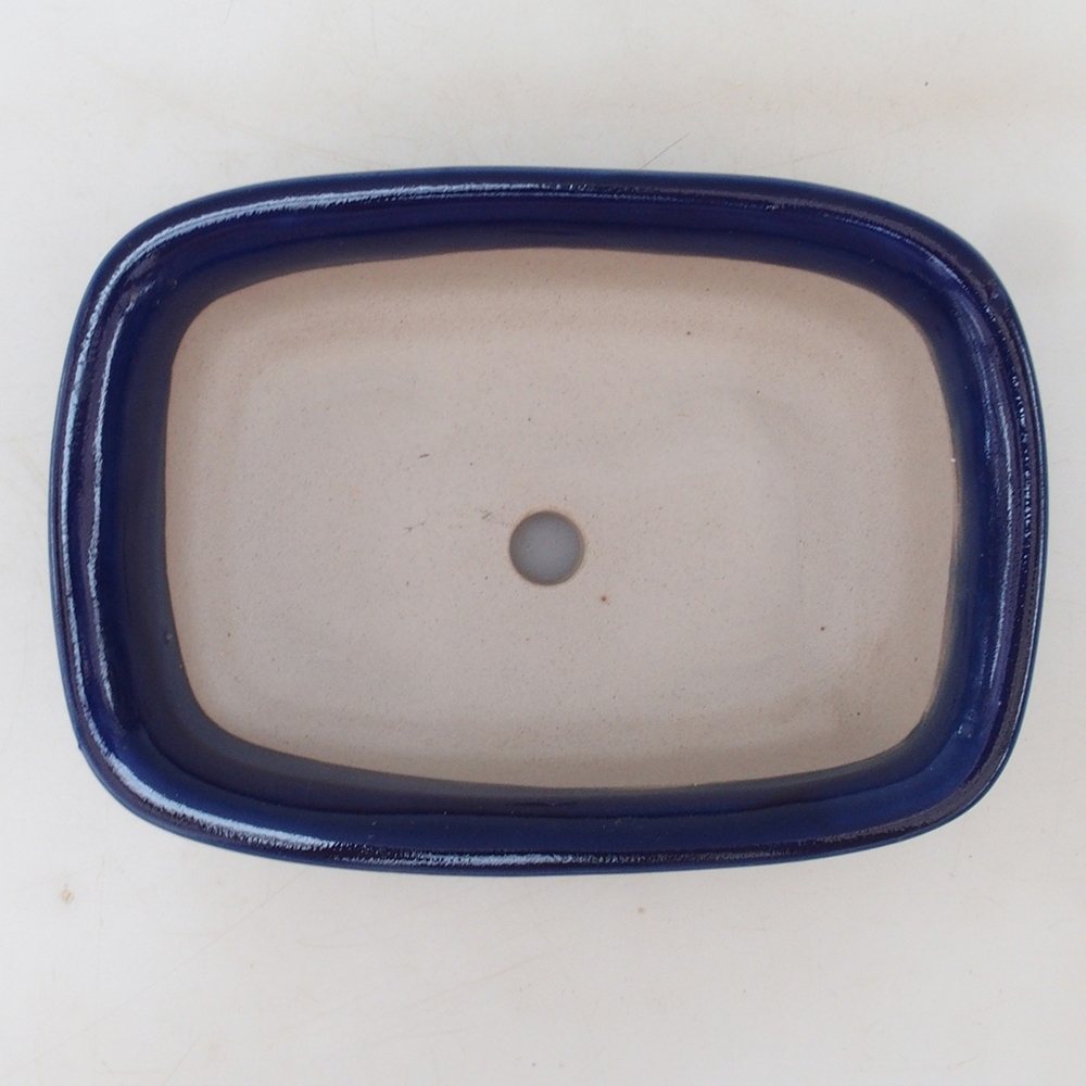 Coupe bonsaï H02 - 19 x 13 x 5 cm - bleu