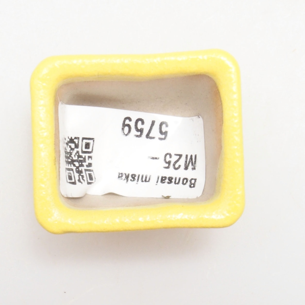 Bol à bonsaï en céramique 4 x 3 x 2,5 cm, jaune