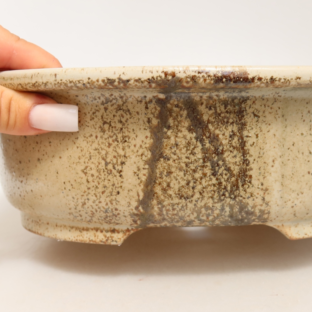 Bol à bonsaï en céramique 26 x 22 x 8 cm, couleur beige