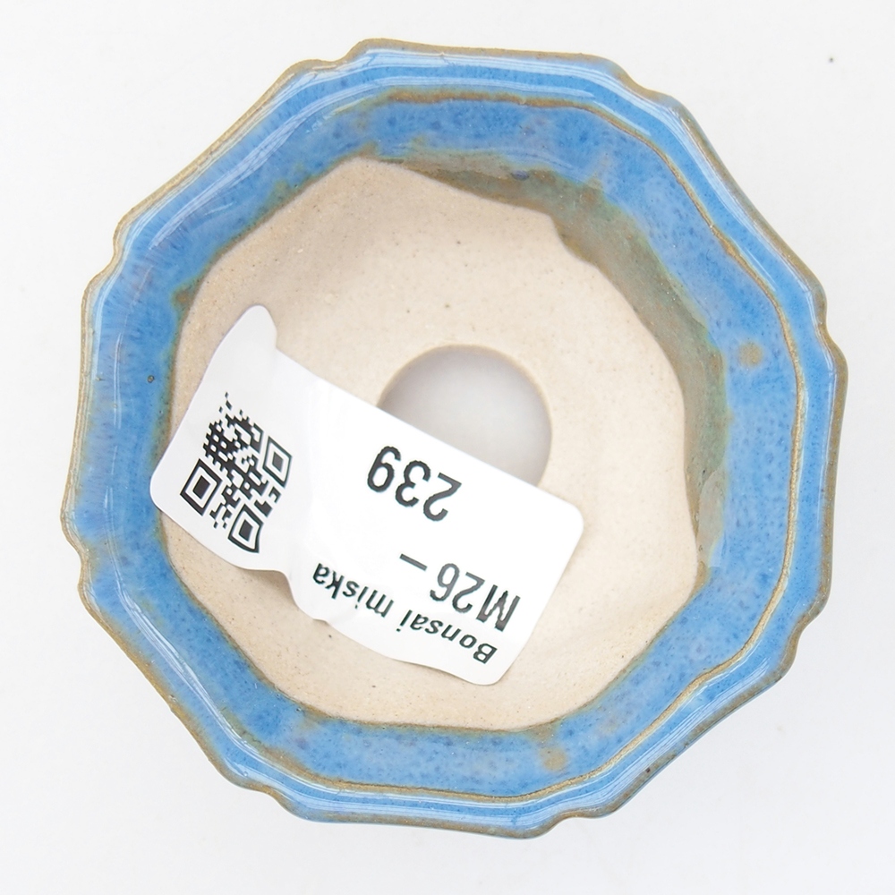 Mini bol bonsaï 6 x 6 x 2,5 cm, couleur bleu