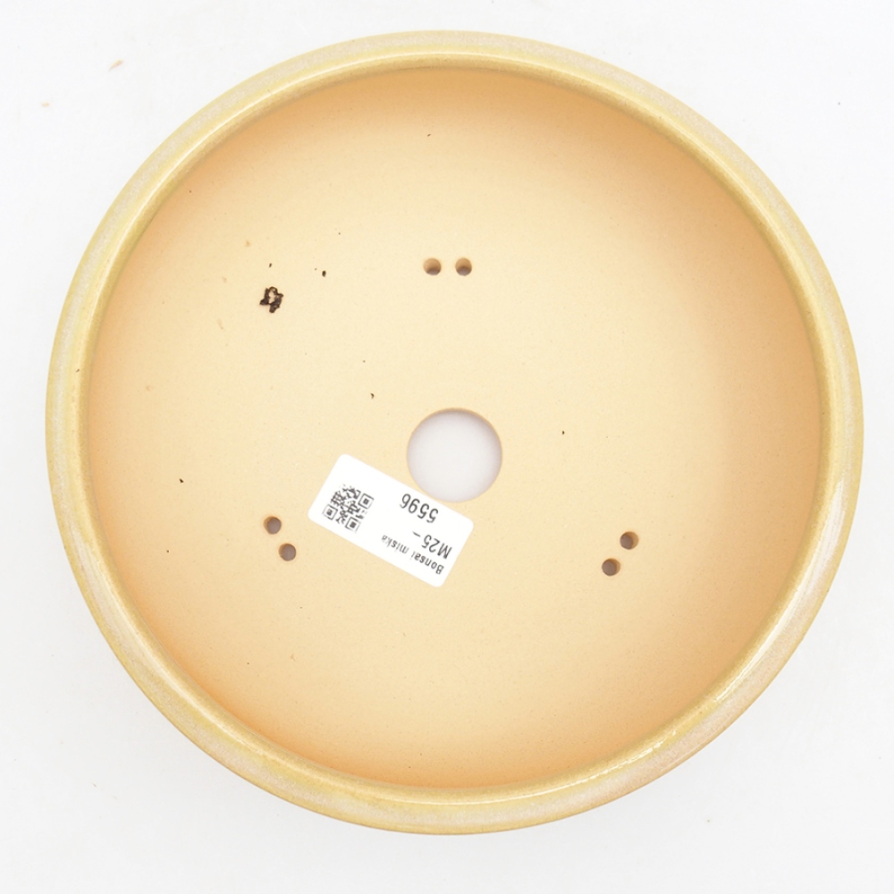 Bol à bonsaï en céramique 18,5 x 18,5 x 6,5 cm, vert