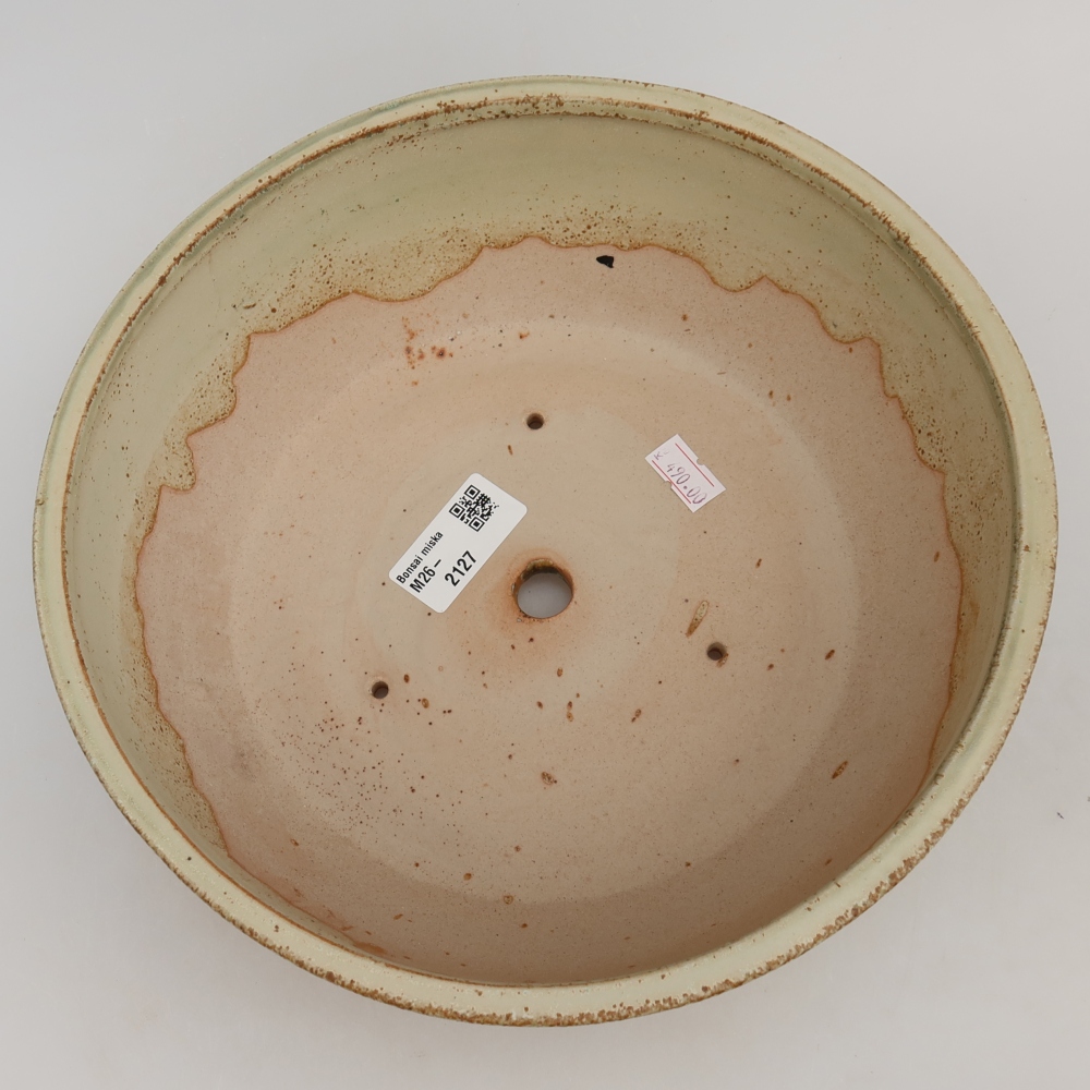 Pot à bonsaï en céramique 24,5 x 24,5 x 7,5 cm, couleur verte