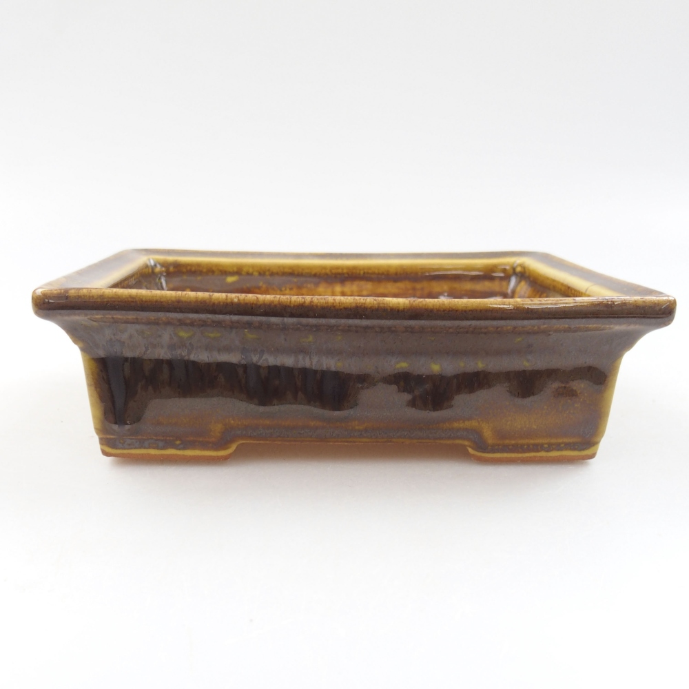 Bol à bonsaï en céramique 22 x 17 x 5 cm, vert