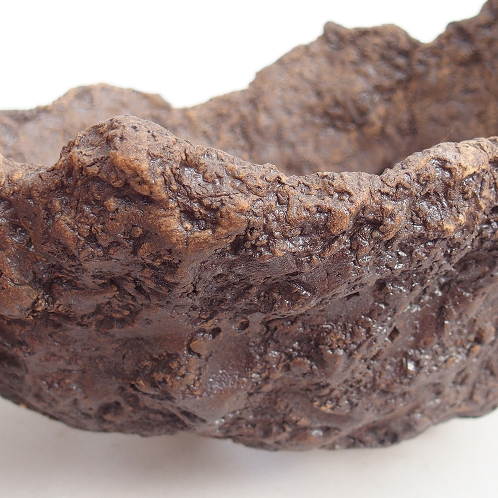 Coquille en céramique 19 x 16 x 16 cm , couleur marron