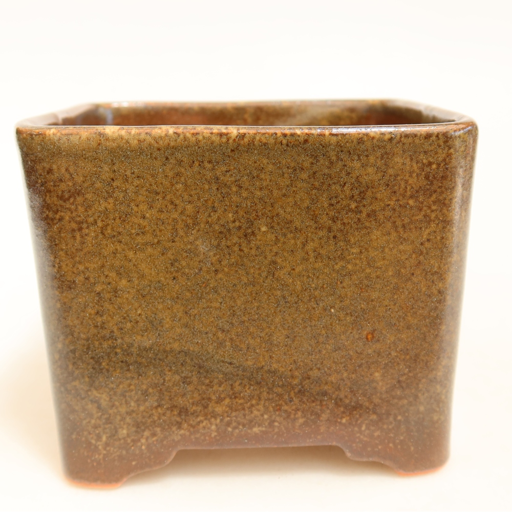 Pot à bonsaï en céramique 10 x 10 x 8,5 cm, couleur marron