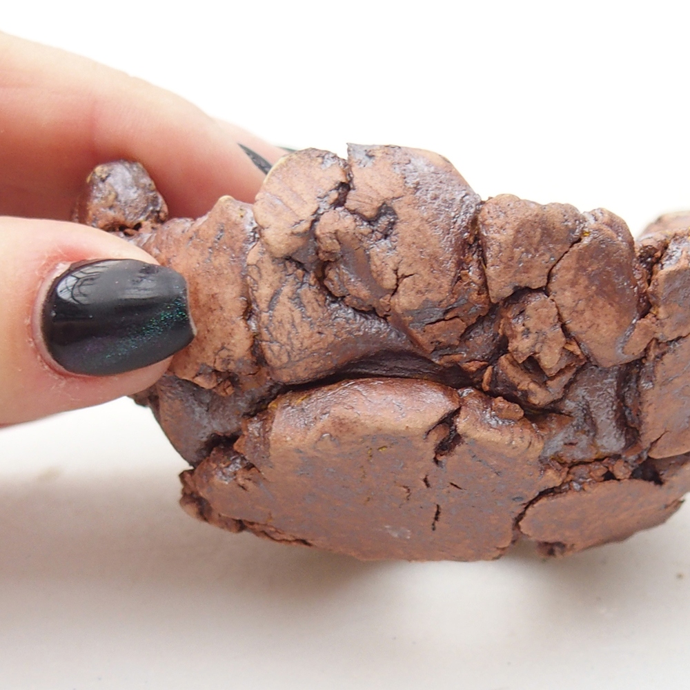 Coquille en céramique 9 x 9 x 4,5 cm , couleur marron