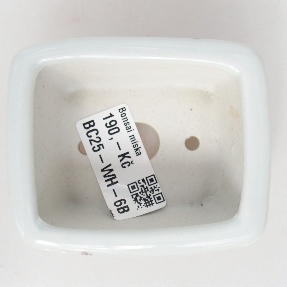 Mini bol bonsaï 8 x 6,5 x 3,5 cm, blanc