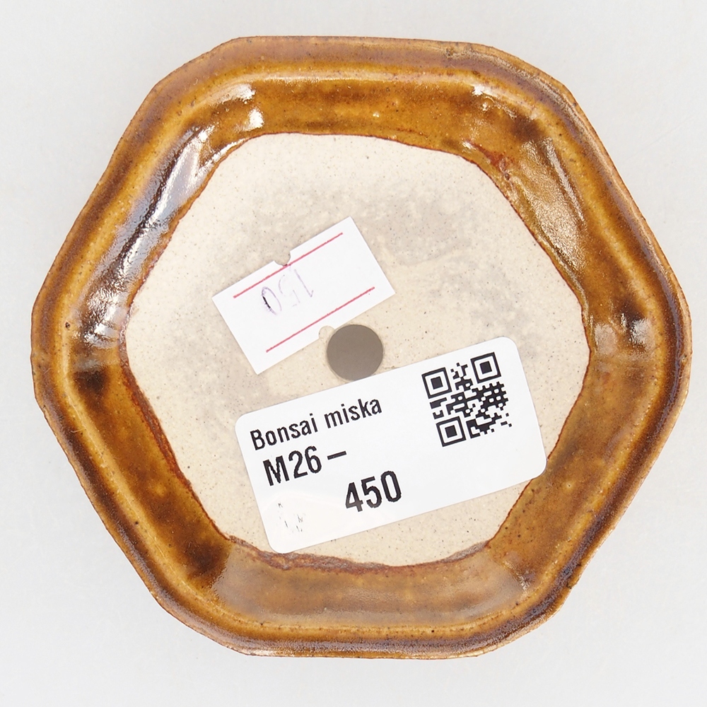 Bol à bonsaï en céramique 8,5 x 8 x 2,5 cm, brun
