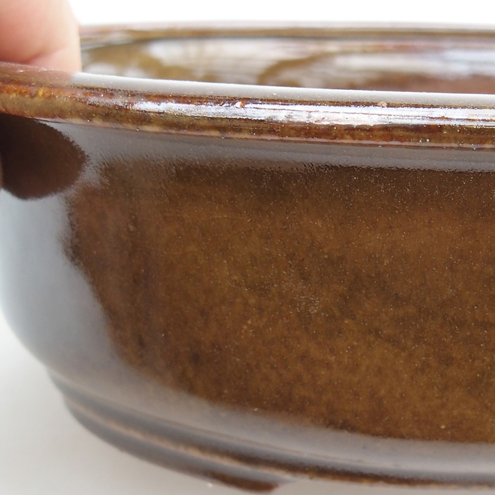 Bol à bonsaï en céramique 23 x 19 x 7 cm, brun