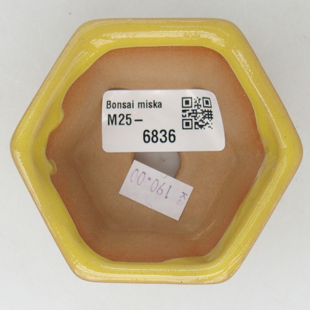 Bol à bonsaï en céramique 7,5 x 7 x 4 cm, jaune