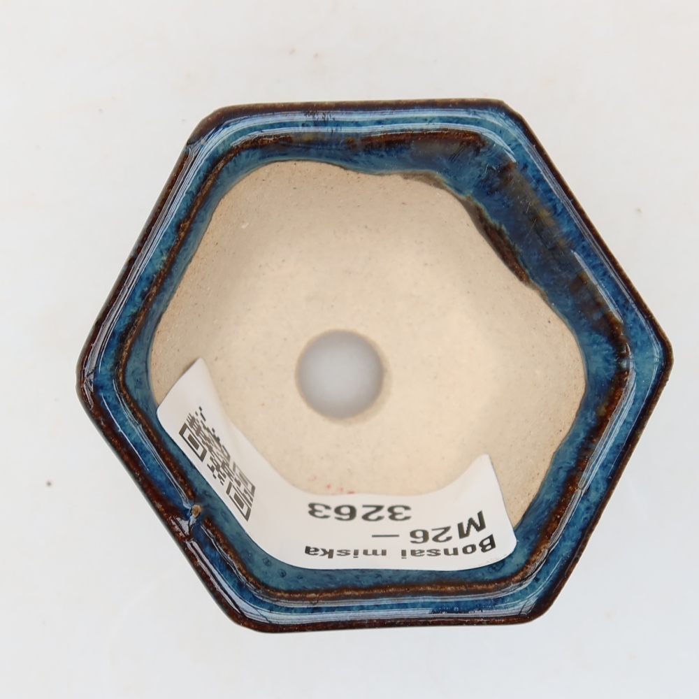 Pot à bonsaï en céramique 5,5 x 5 x 3 cm, couleur bleue