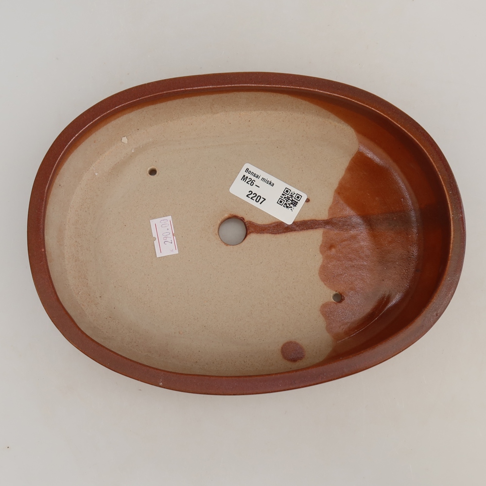 Pot à bonsaï en céramique 22 x 17 x 4 cm, couleur bordeaux