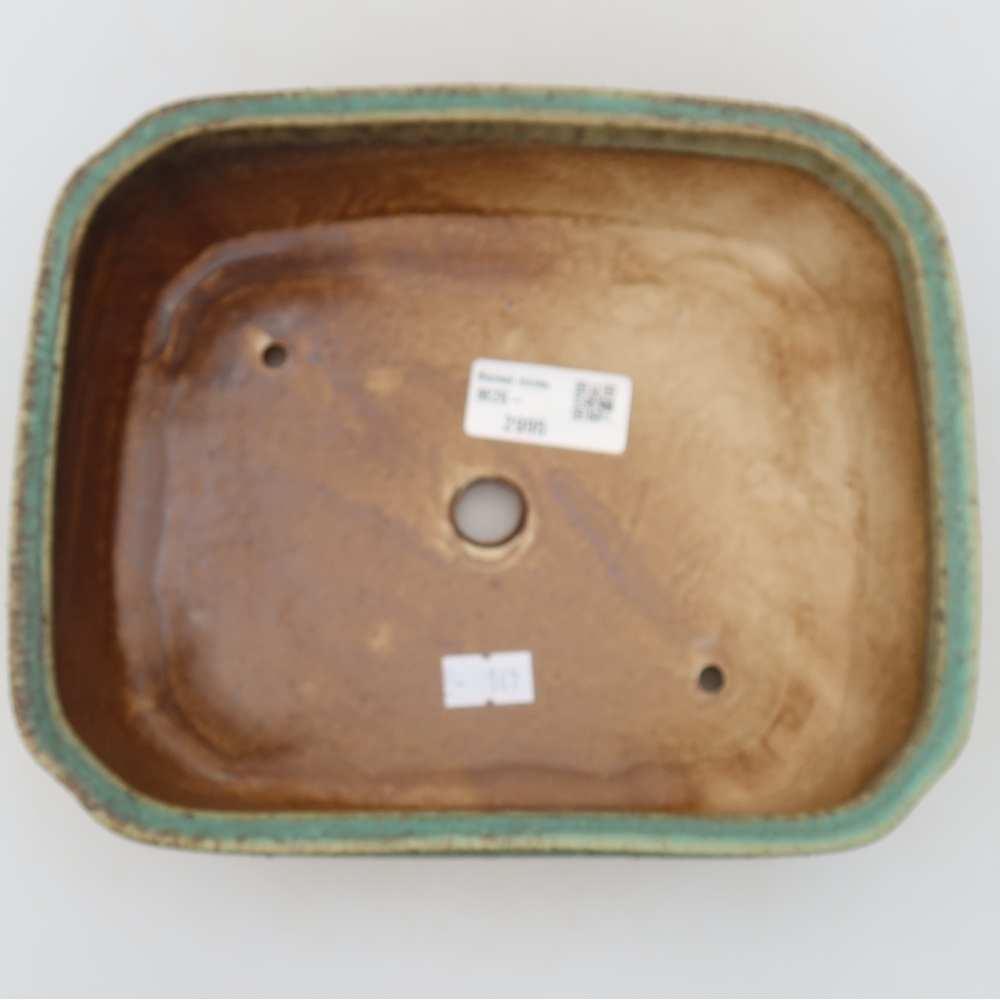 Pot à bonsaï en céramique 21,5 x 18 x 6 cm, couleur verte