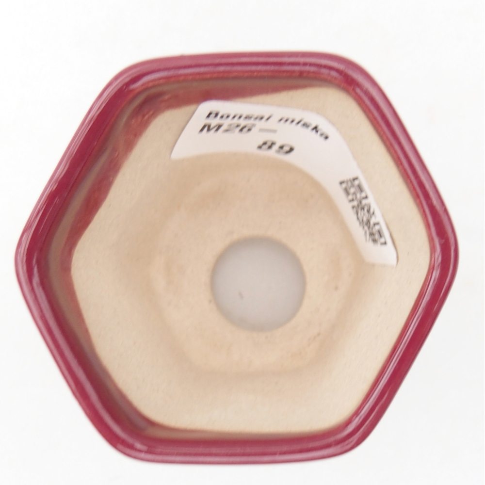 Mini bol bonsaï 5,5 x 5 x 5 cm, couleur bordeaux