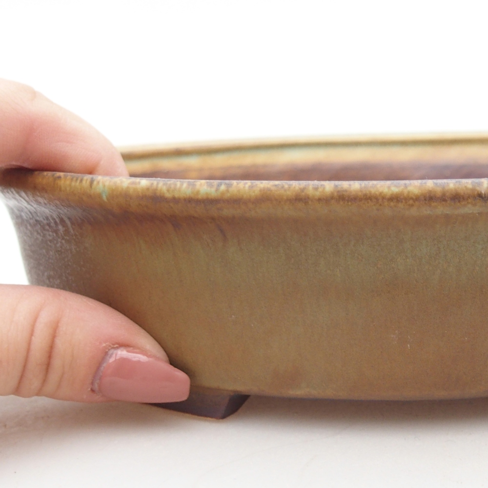 Bol à bonsaï en céramique 21 x 19 x 8 cm, vert