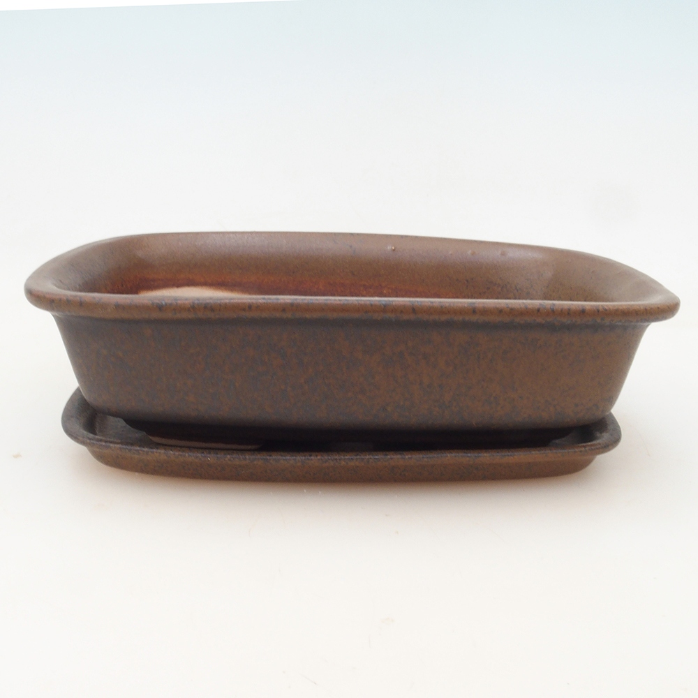 Bol Bonsaï + soucoupe H02 - brun