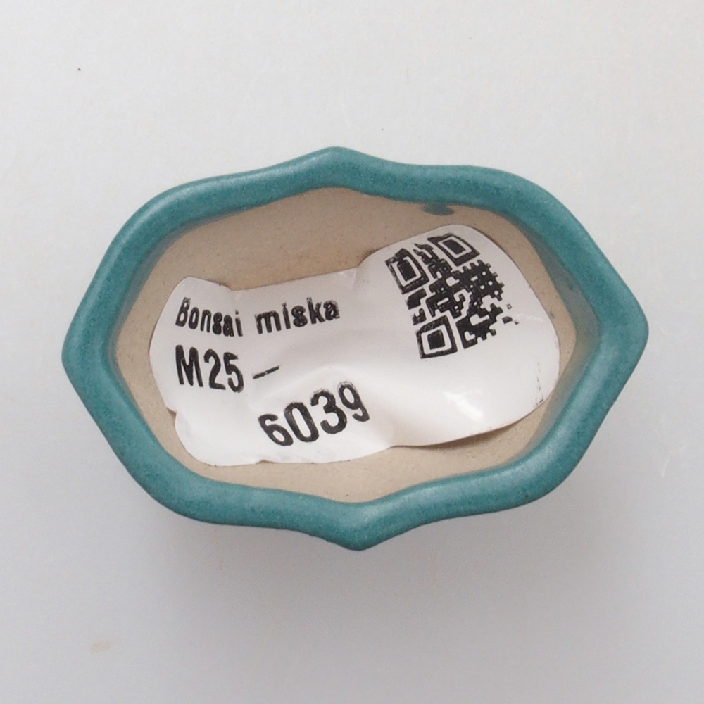 Bol à bonsaï en céramique 6,5 x 5,5 x 4 cm, couleur bleu