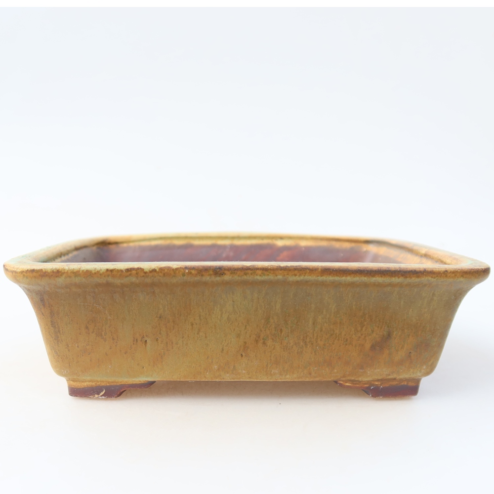 Bol à bonsaï en céramique 17,5 x 14,5 x 5 cm, vert