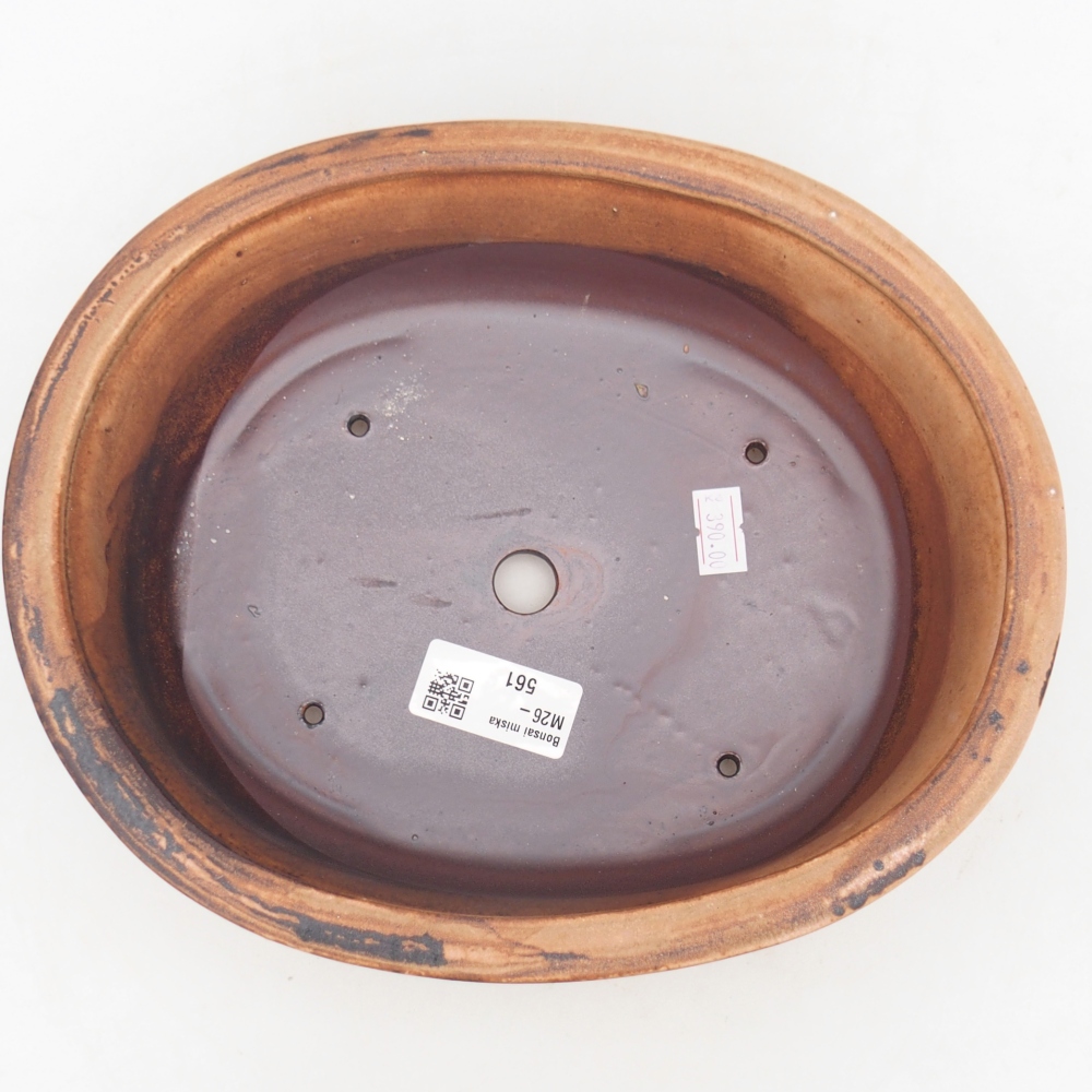 Bol à bonsaï en céramique 23 x 19 x 7 cm, rose