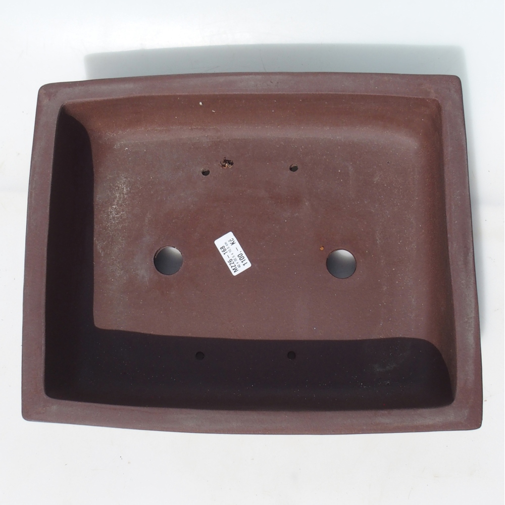 Bol pour bonsaï 40 x 32,5 x 10,5 cm bouleau brun