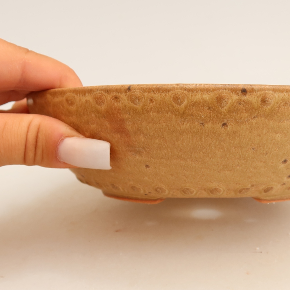 Pot à bonsaï en céramique 17,5 x 17,5 x 4,5 cm, couleur beige