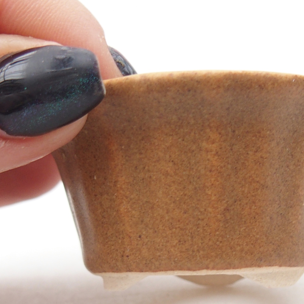 Mini bol bonsaï 5,5 x 5,5 x 3 cm, brun