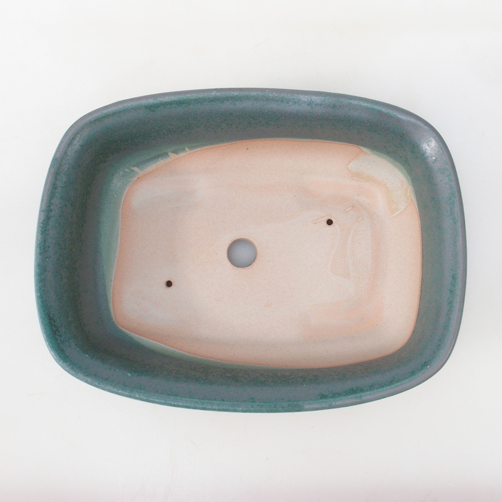 Coupe bonsaï H09 - 30 x 23 x 7,5 cm - vert