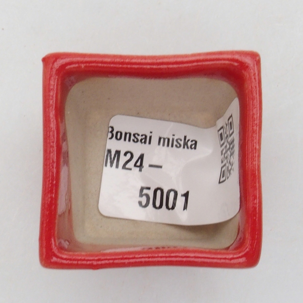 Mini bol bonsaï 3,5 x 3,5 x 3 cm, couleur rouge