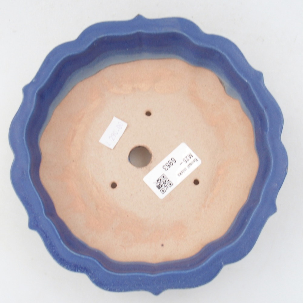 Bol à bonsaï en céramique 19 x 19 x 5 cm, couleur bleu