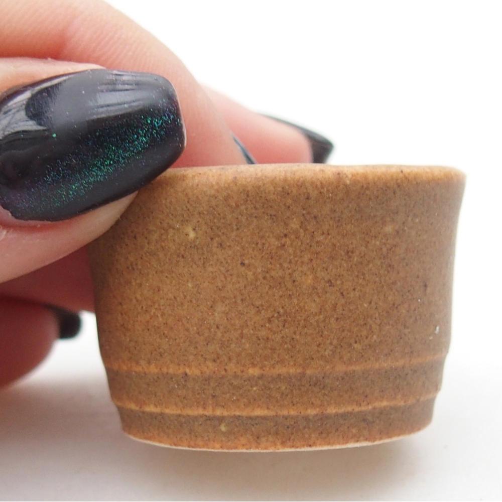 Mini bol bonsaï 4 x 4 x 2 cm, brun