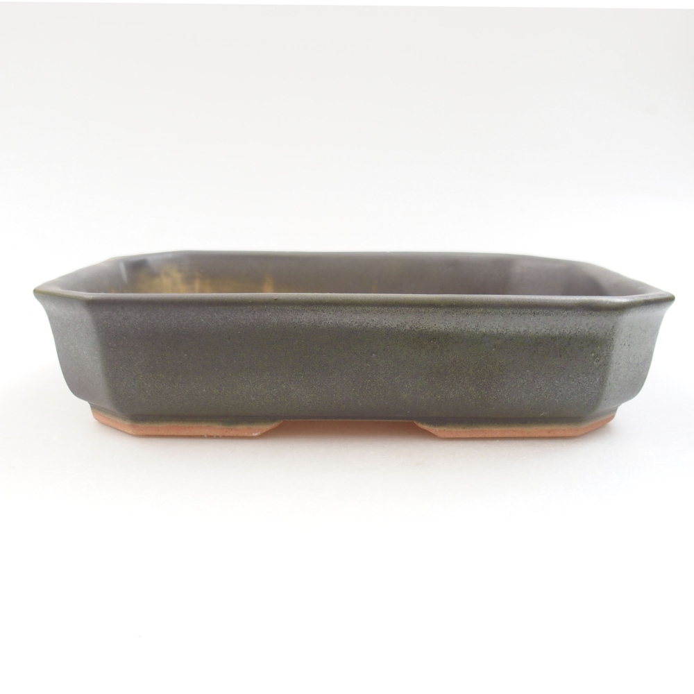 Bol à bonsaï en céramique 22 x 17 x 5 cm, vert